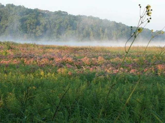 Tour Wisconsin's John Muir Nature and History Route