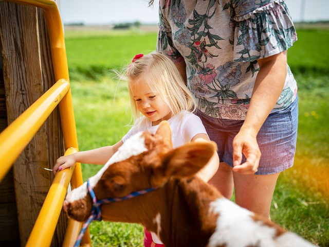 A Dairy State Delight: Wisconsin’s Breakfasts on the Farm
