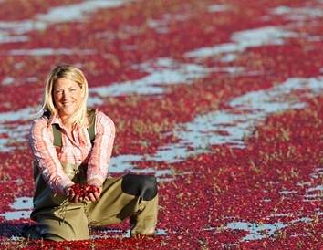 4 Must-Stops Along the Wisconsin Cranberry Trail