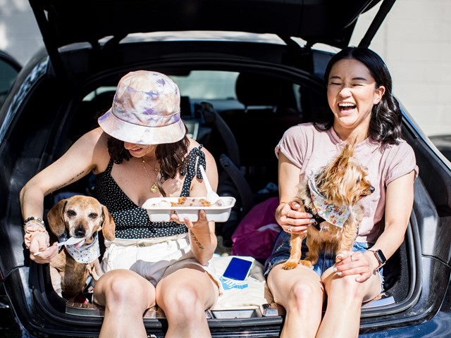 Enjoy A Nostalgic Night Out at Wisconsin's Drive-In Theaters