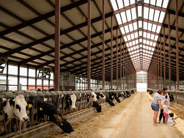 Take a Dairy Farm Tour: Sassy Cow Creamery